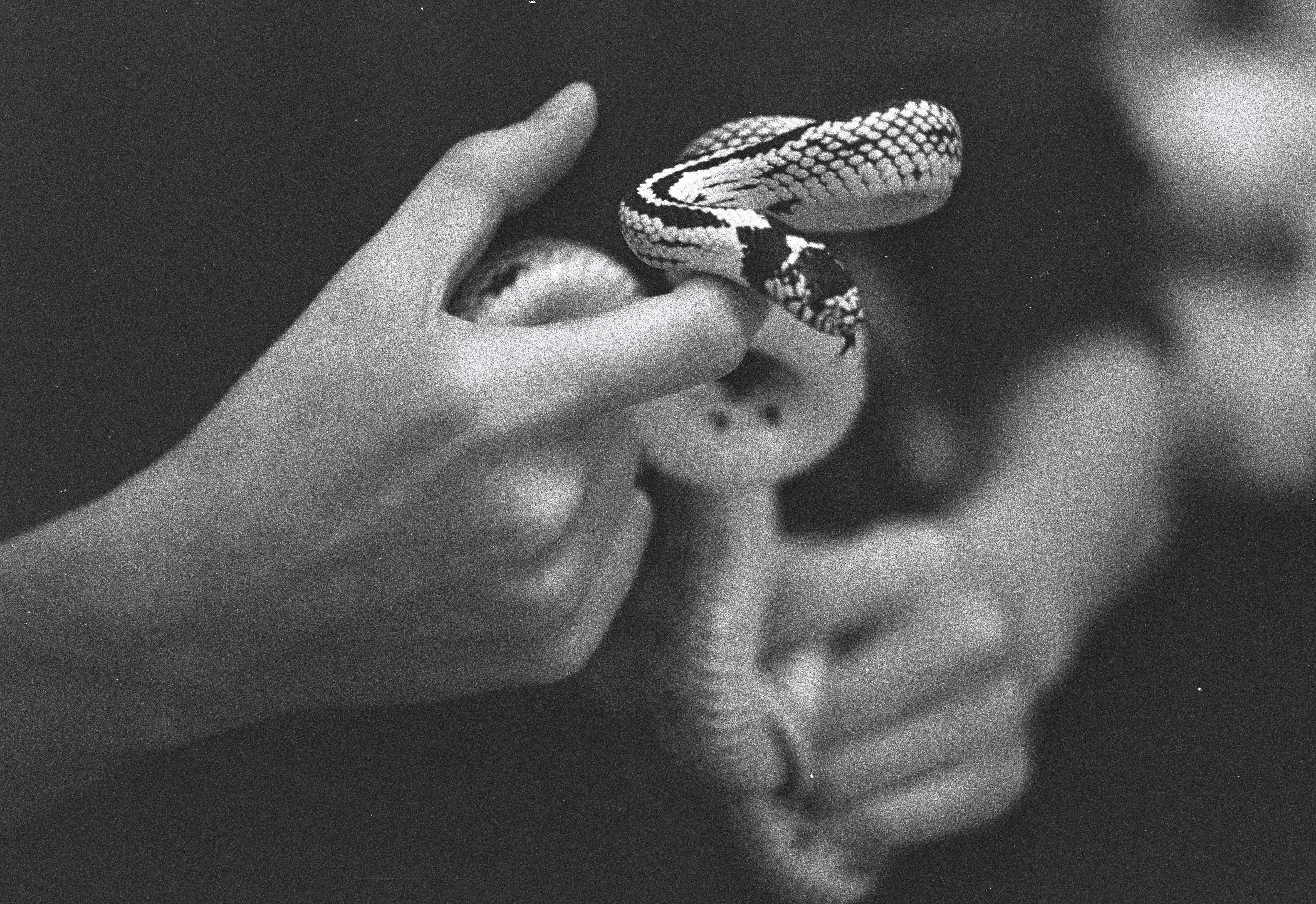 snake in hands, black and white analog film photography