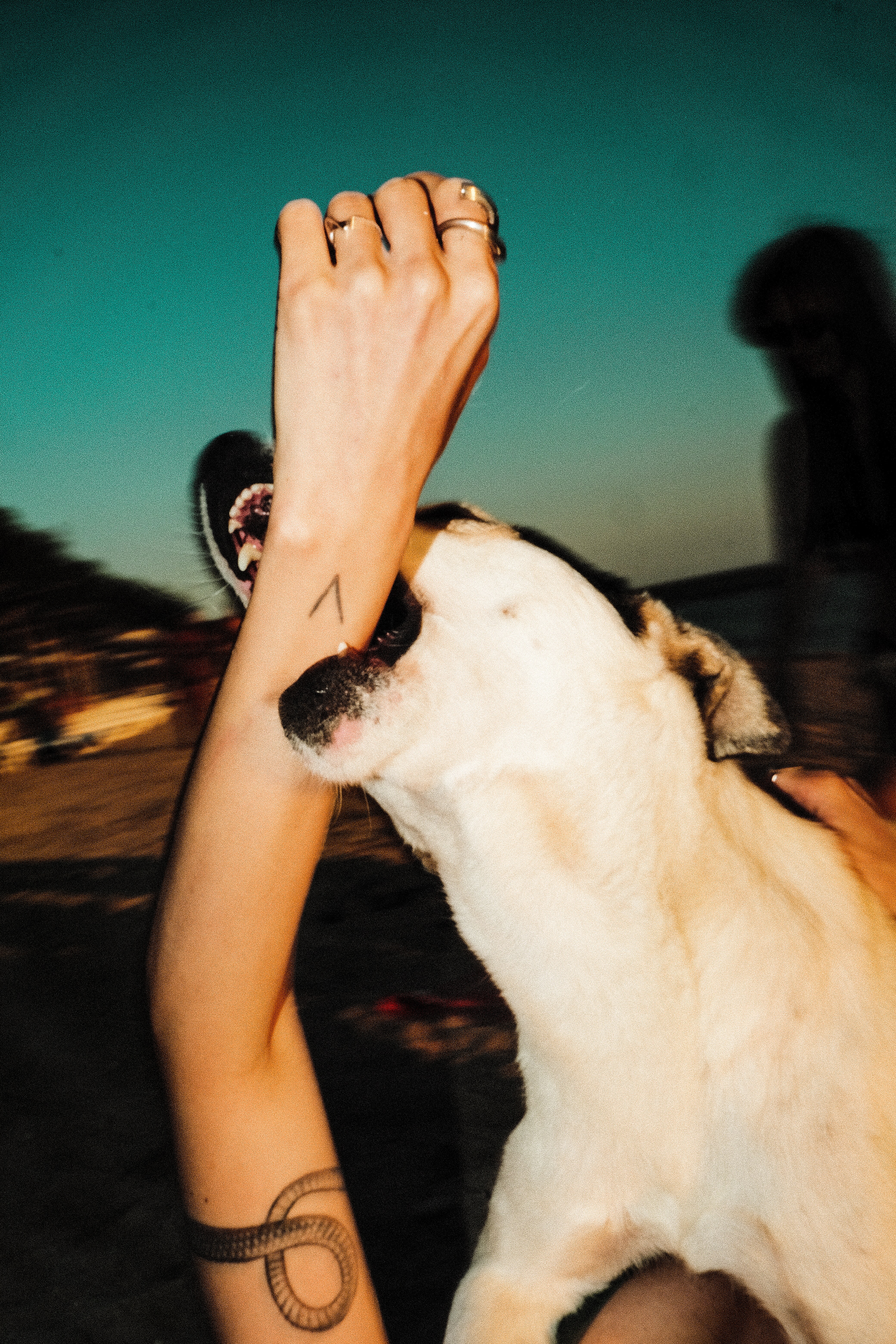 analog film photography, fine art