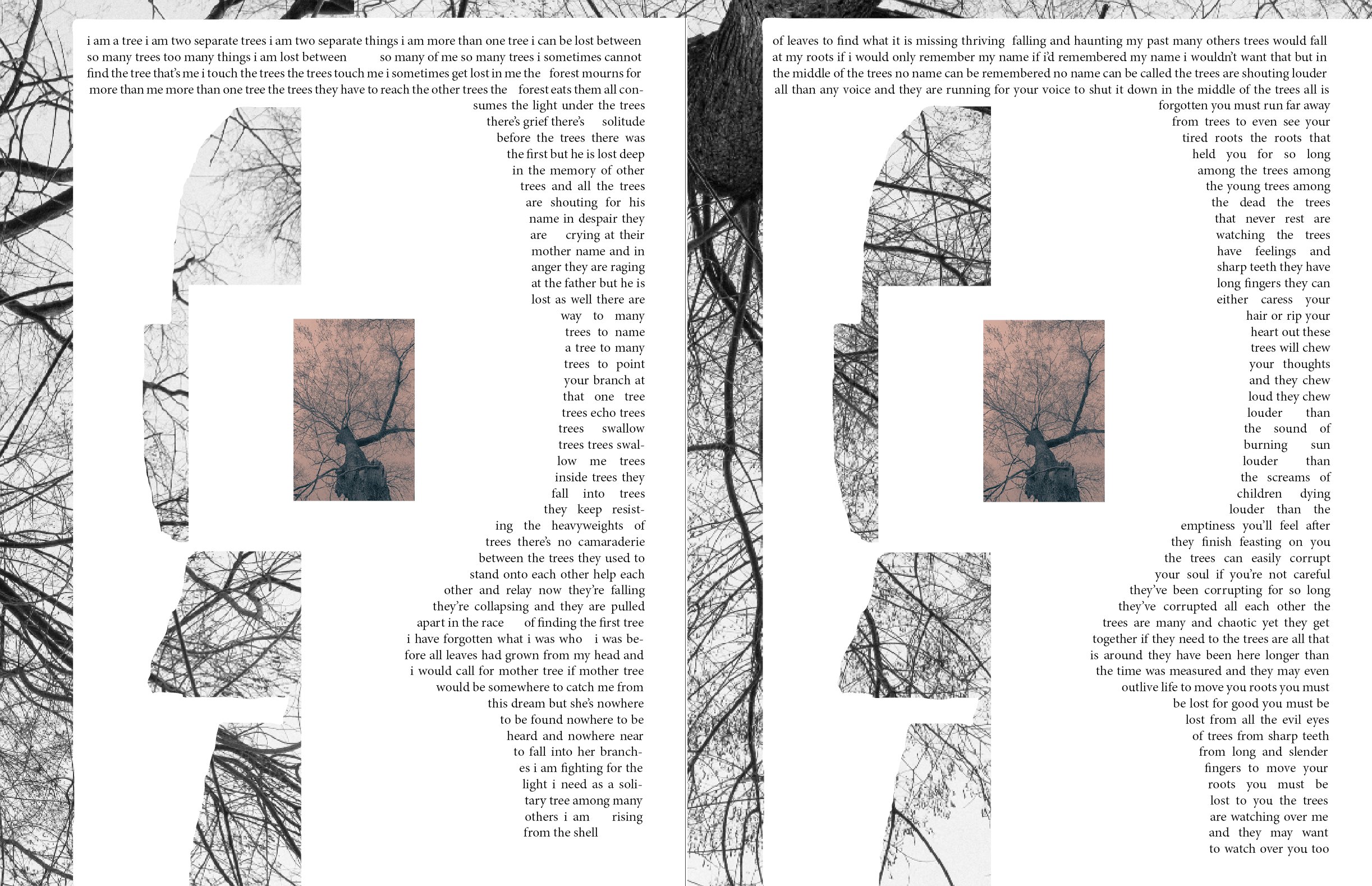 To Grow a Tree — pagini interioare