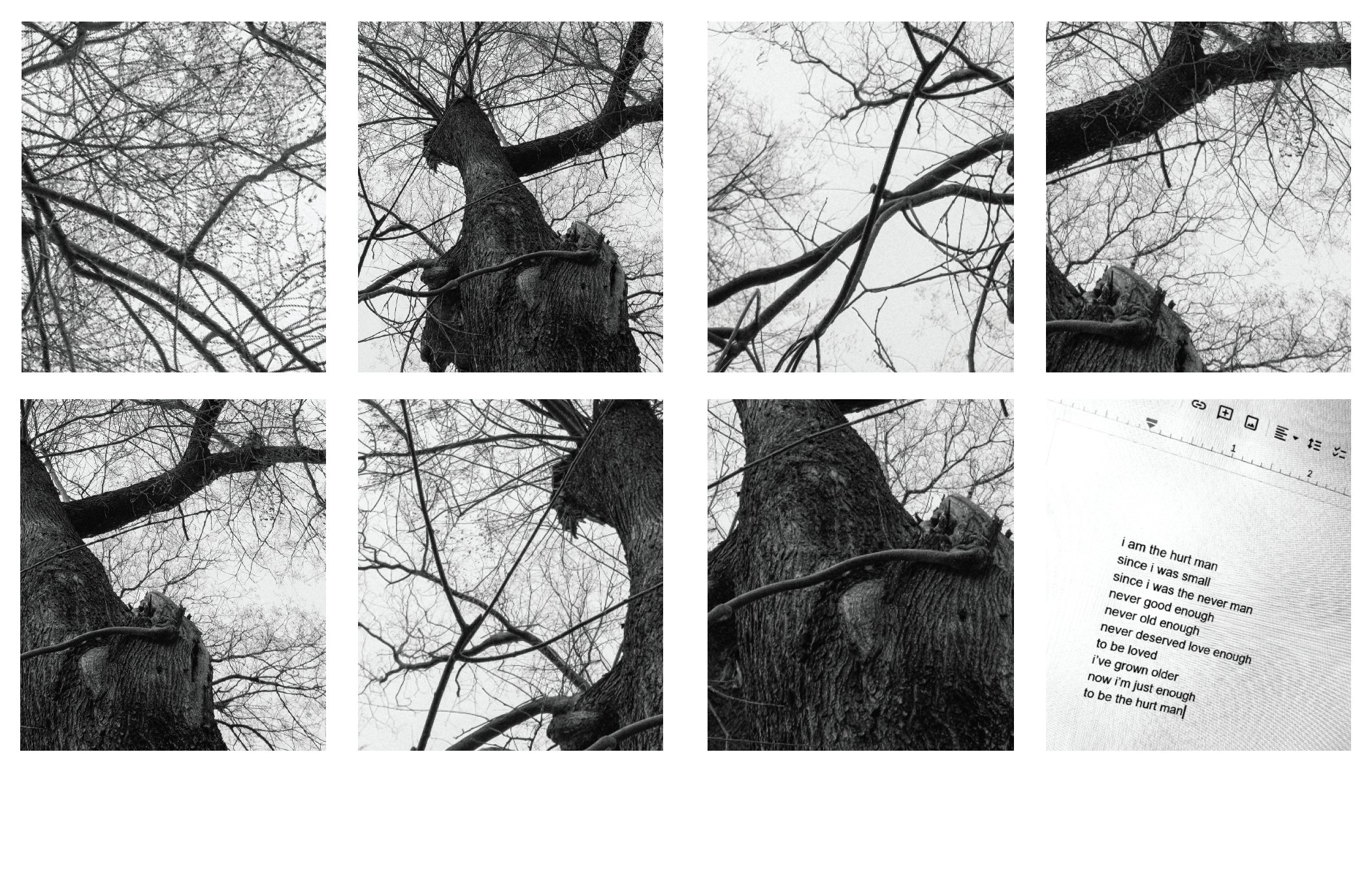To Grow a Tree — pagini interioare